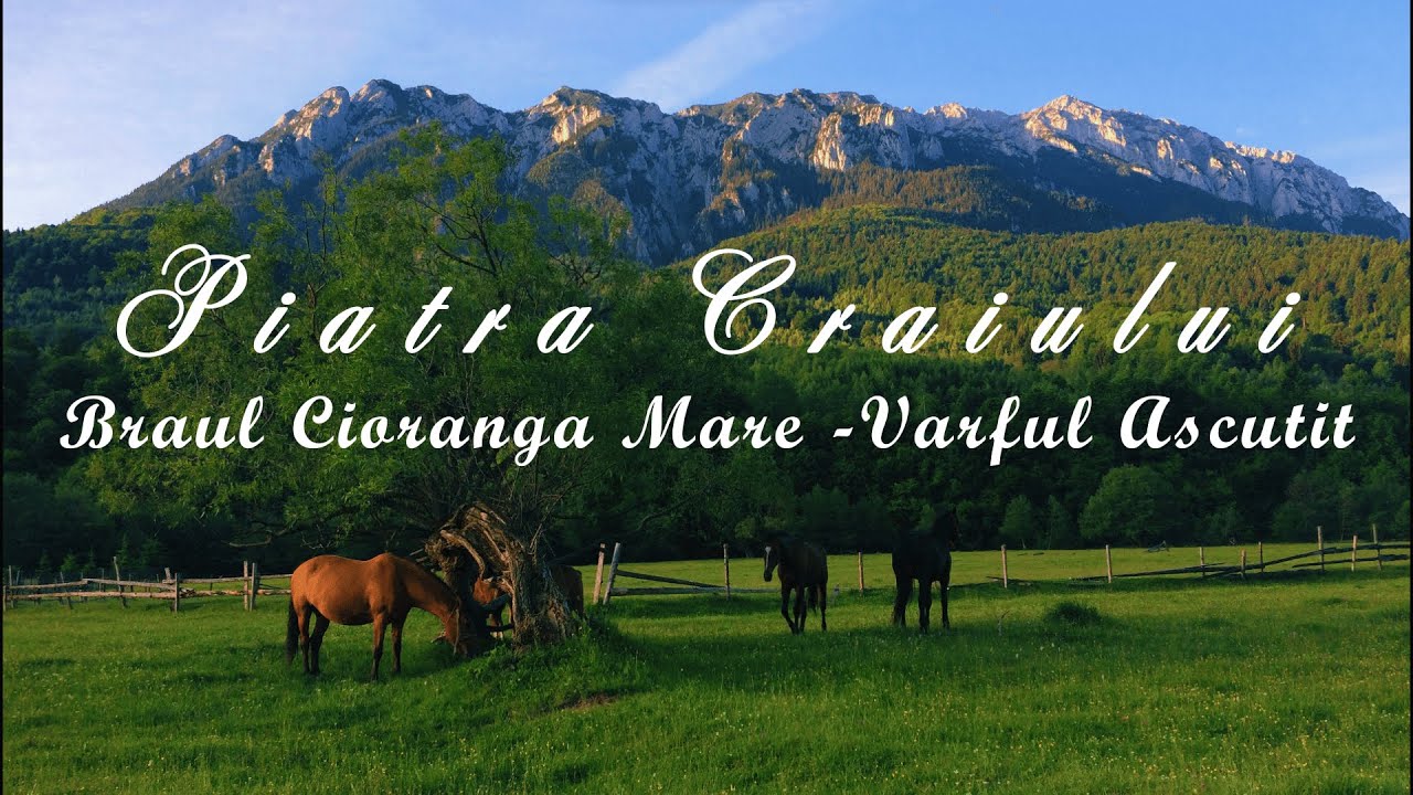 Piatra Craiului ➡️ Braul Cioranga Mare ➡️ Varful Ascutit (Arhiva Personala 2017) 🇷🇴
