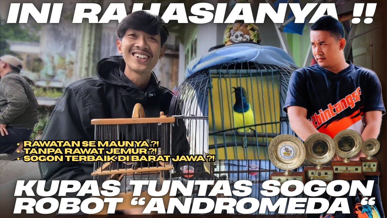 BUAH DARI KESABARAN !! 1 minggu wajib digantang tanpa jeda sogon ini .