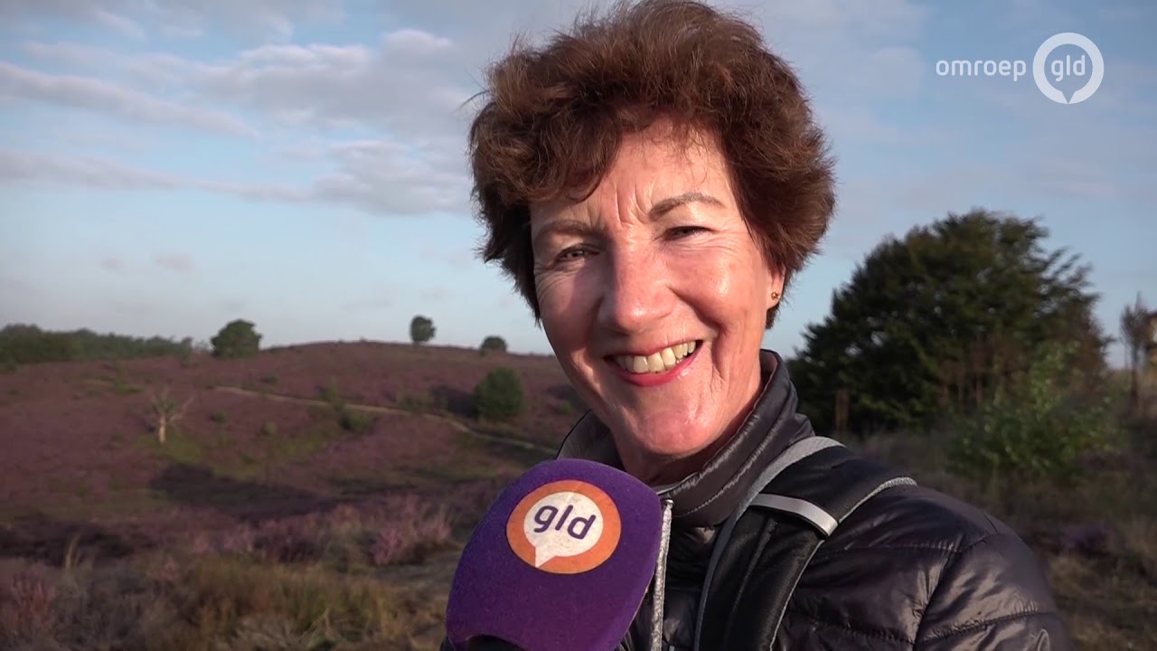 De bloeiende heide trekt veel bekijks