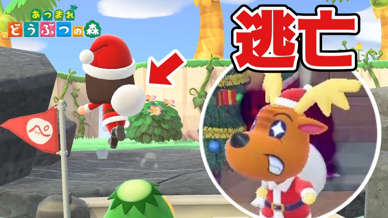 【あつ森】プレゼント袋を返したくないから逃亡しました【あつまれどうぶつの森】