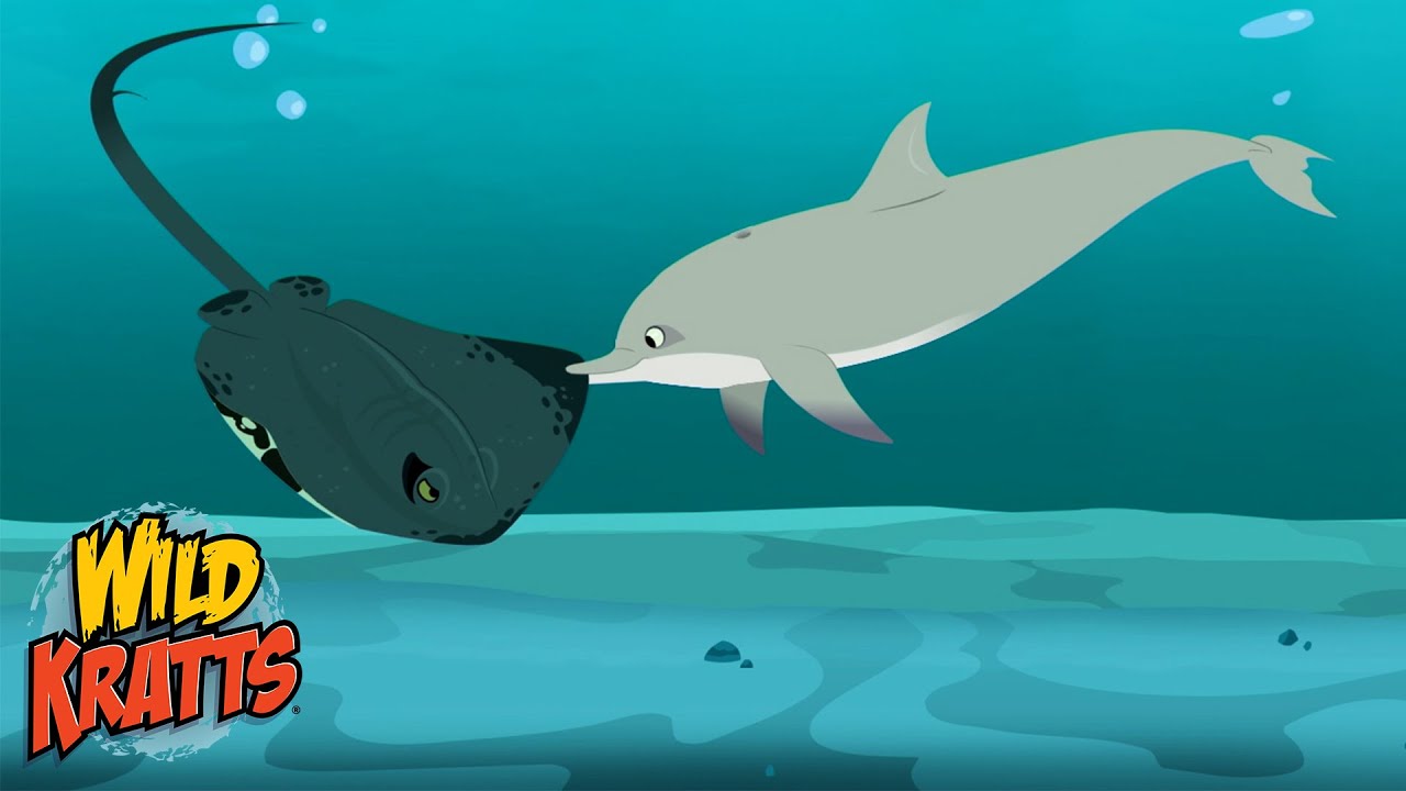 Stingray Vs Dolphin | Epic Creature Battle | Wild Kratts