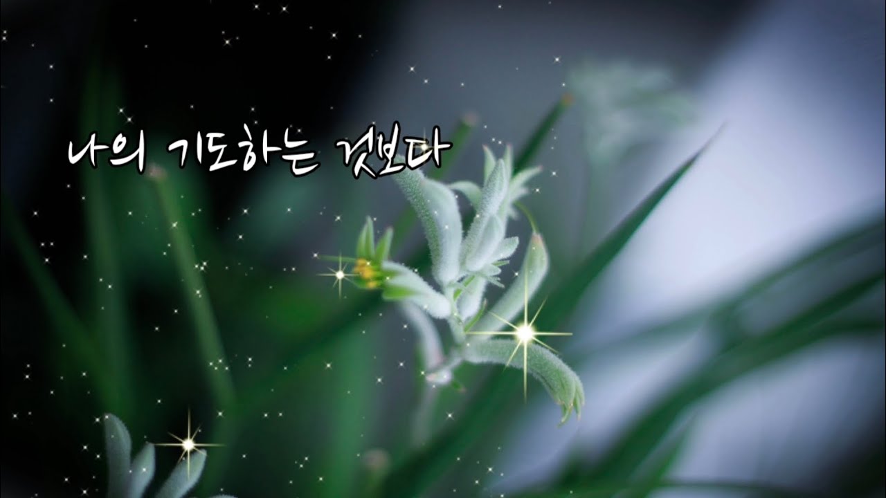 나의 기도하는 것보다  & 아무것도 두려워말라..