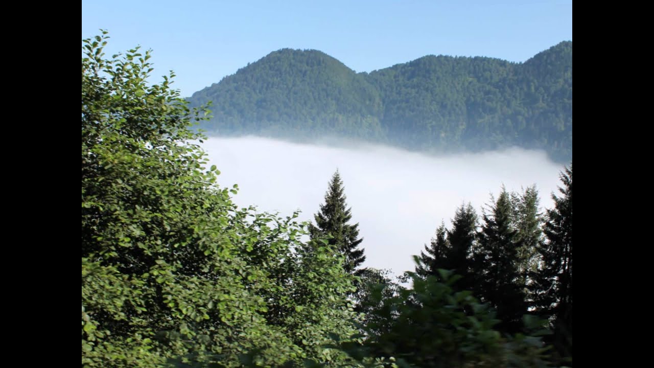 davul kırnata karşılama GİRESUN /BULANCAK/PAZARSUYUKÖYÜ
