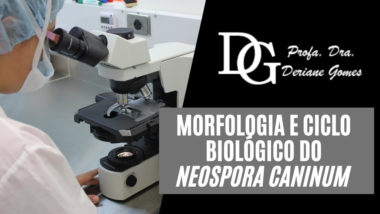 035. Morfologia e Ciclo Biológico do Neospora caninum.