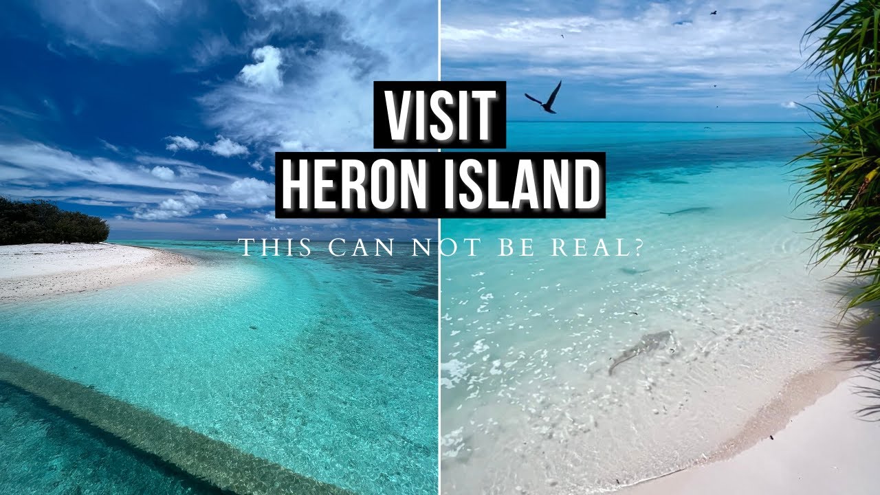 Heron Island & Heron Island Resort (A Turtle Paradise)