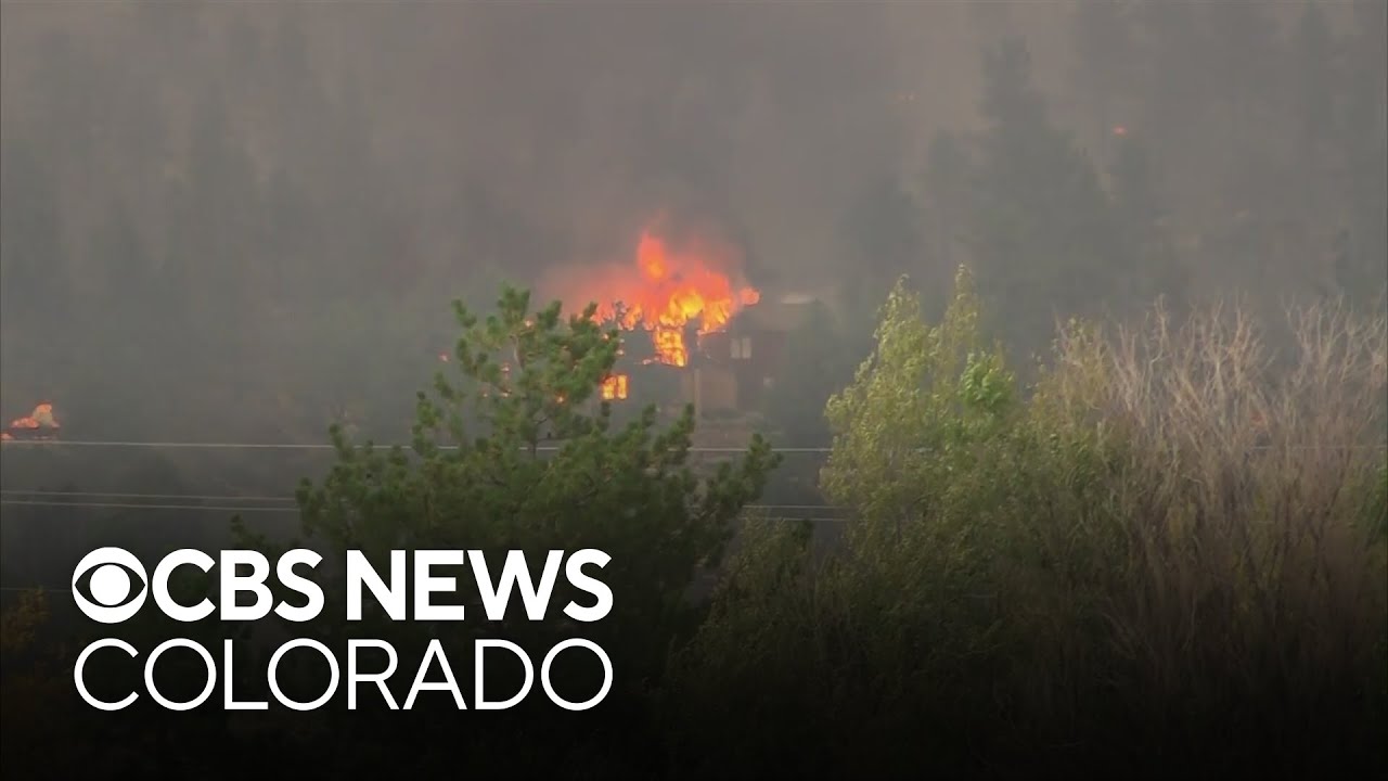 Colorado county offers rebates for homeowners who do wildfire mitigation