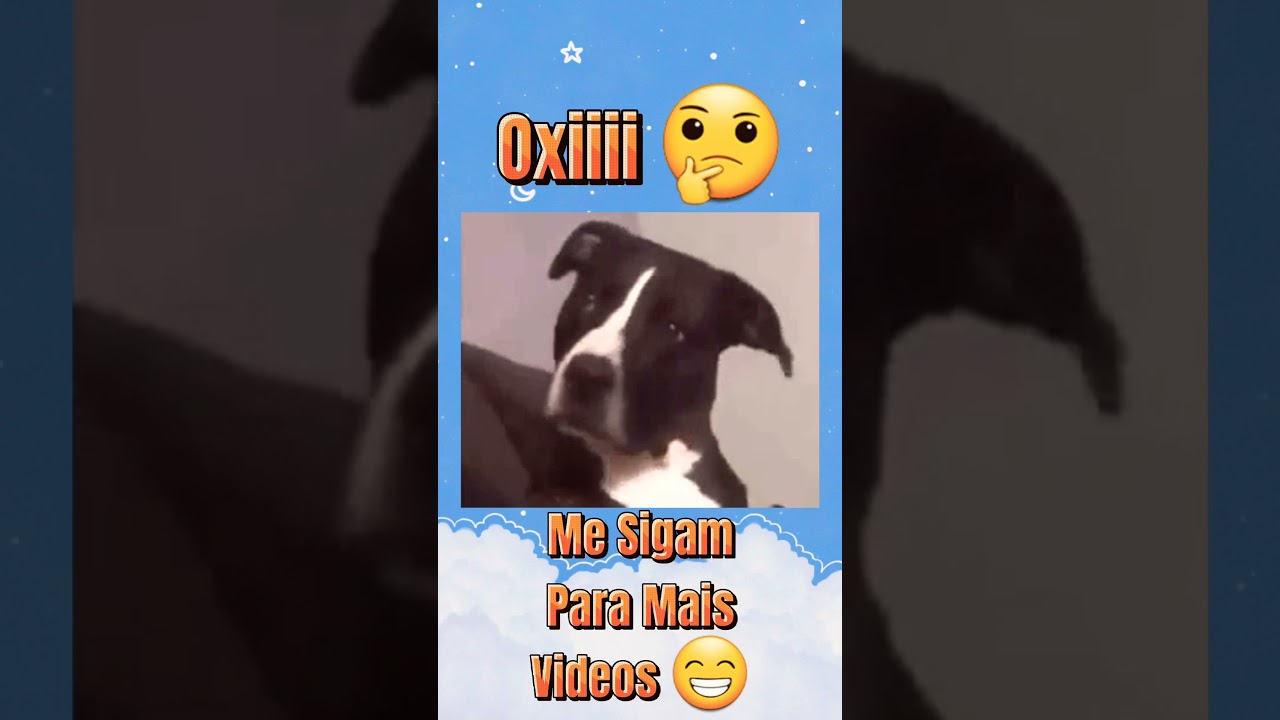 O Videos Que Bombou Na Internet  Com Mais De 7M De Visualiza&ccedil;&otilde;es 😱