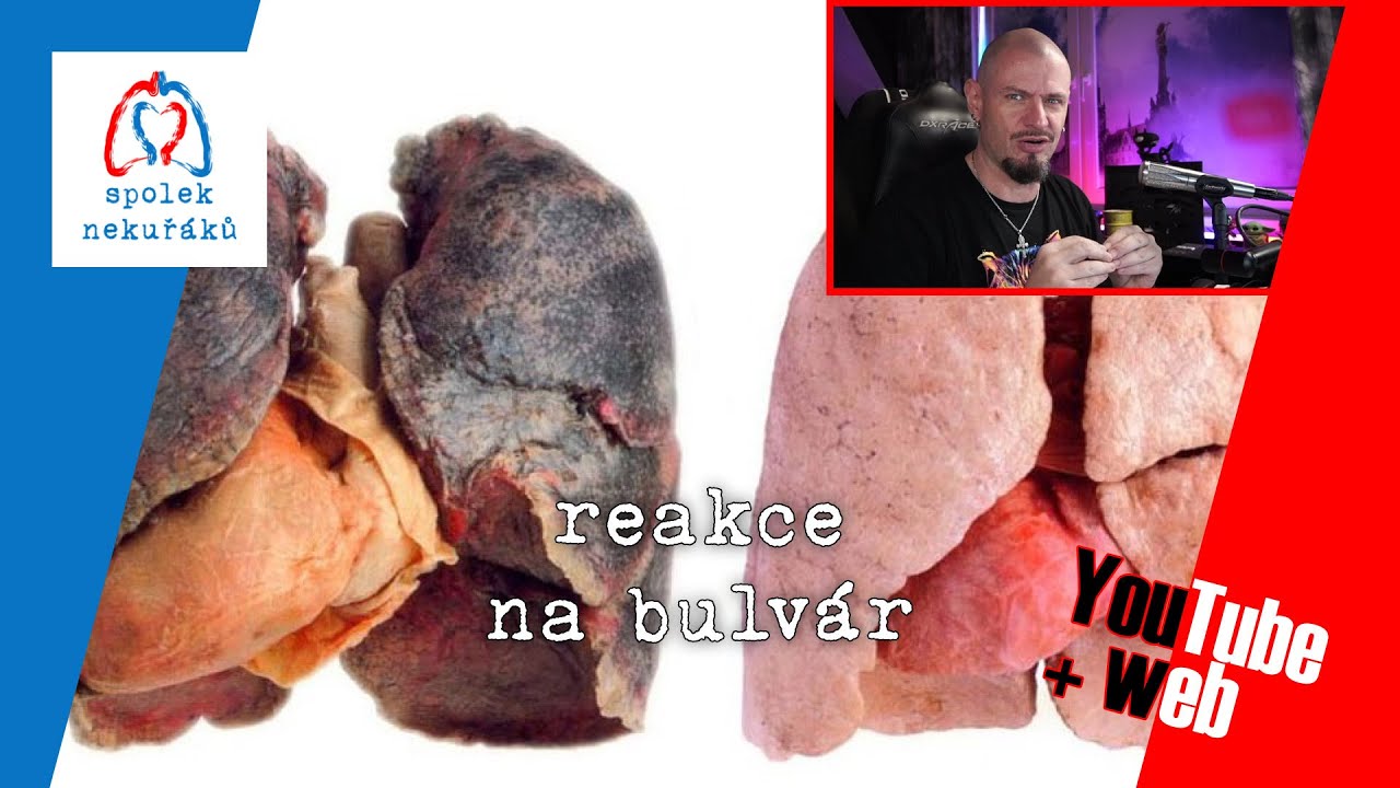 REAKCE na Bulv&aacute;r - AntYouTuber