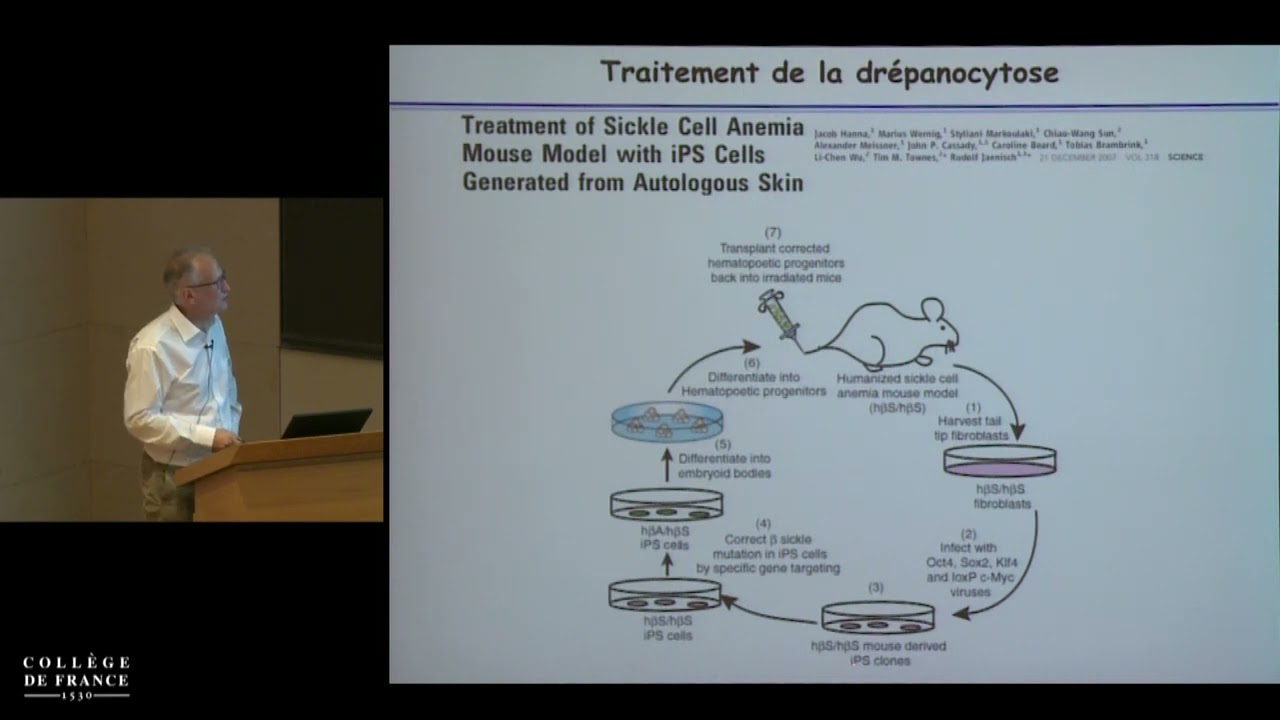 Biothérapies, thérapies cellulaire et génique (6) - Alain Fischer (2014-2015)