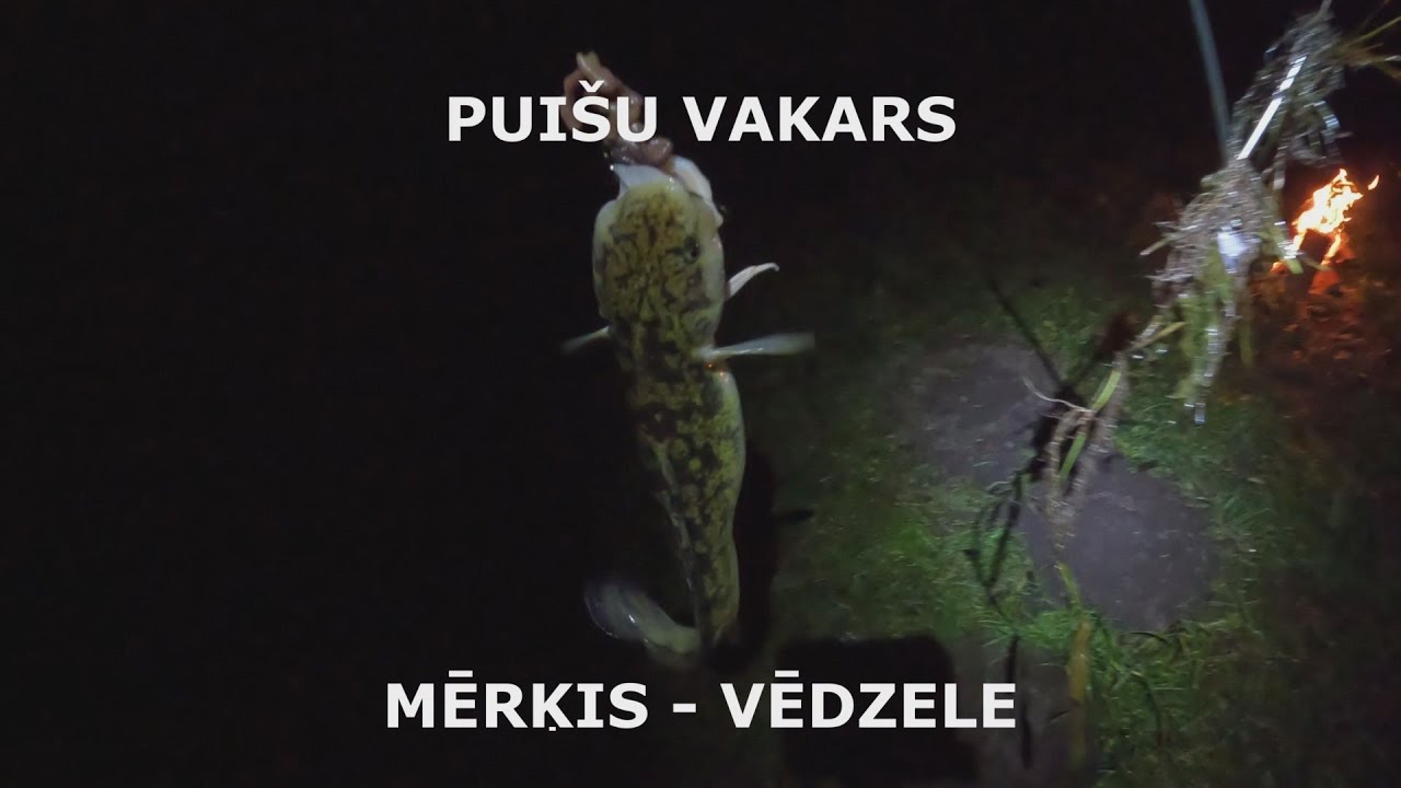 Puišu vakars - ķeram vēdzeli