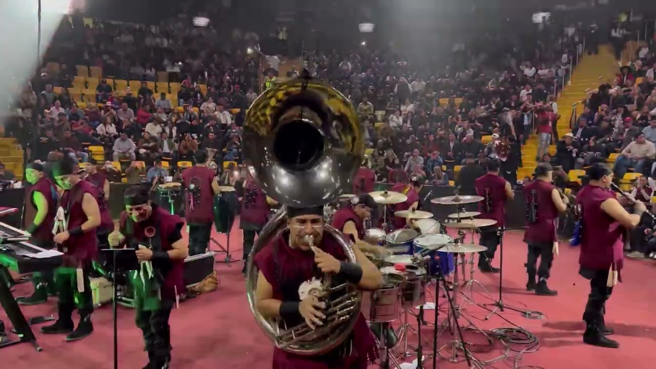 CUISILLOS, No vale nada la vida. @regionalmexicanooficial @puramusicadebandaoficial #trending #fyp 
