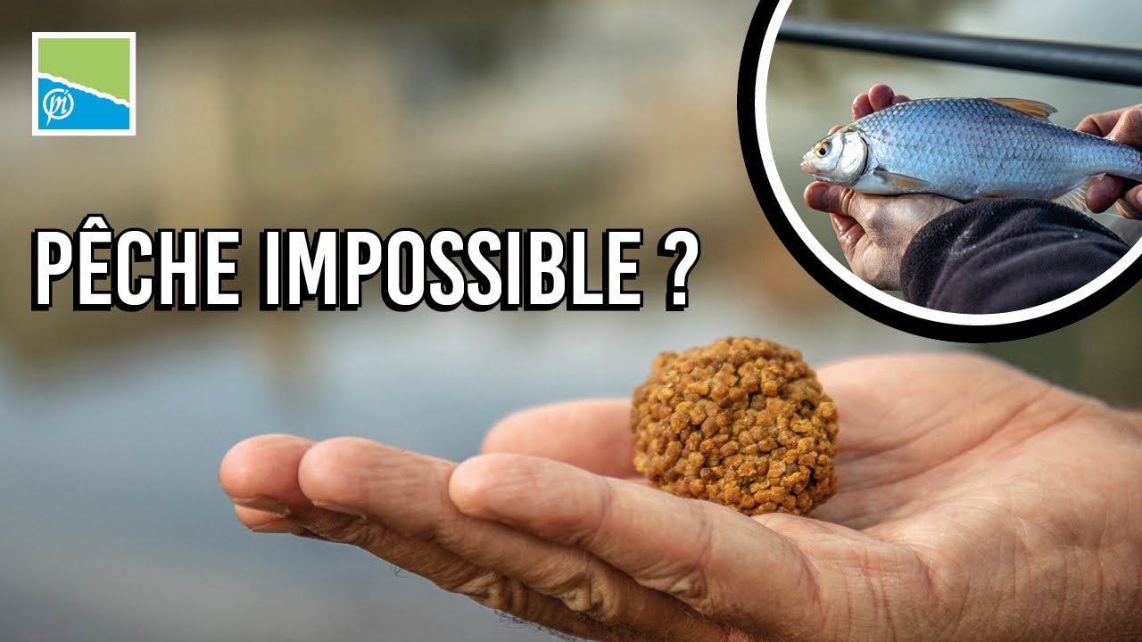 GARDONS AU PELLET : PÊCHE IMPOSSIBLE OU COUP DE GÉNIE ? La folle expérience avec Olivier.