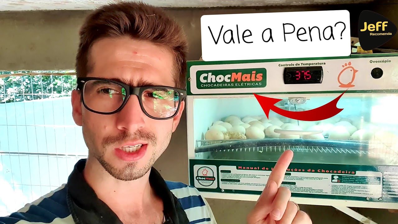 Minhas Aves que nasceram na Chocadeira Elétrica ChocMais! (Dicas Para ter melhor eclosão)