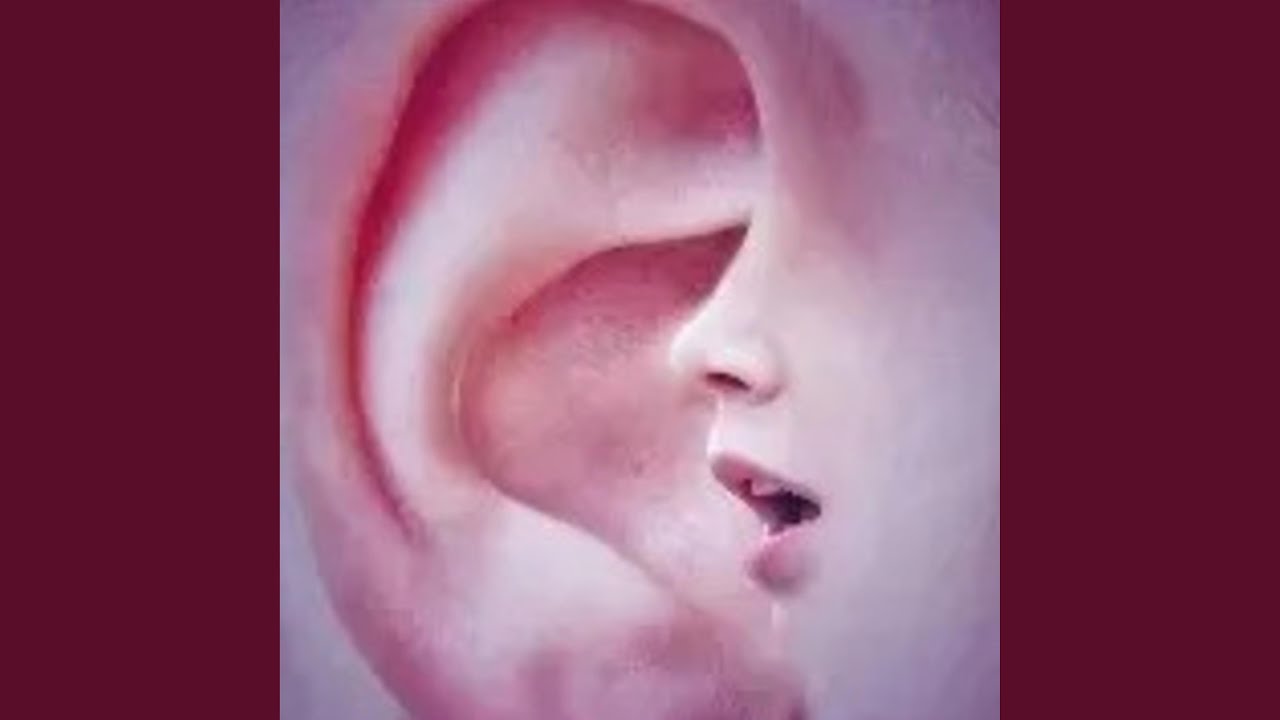 For Those Who Hear