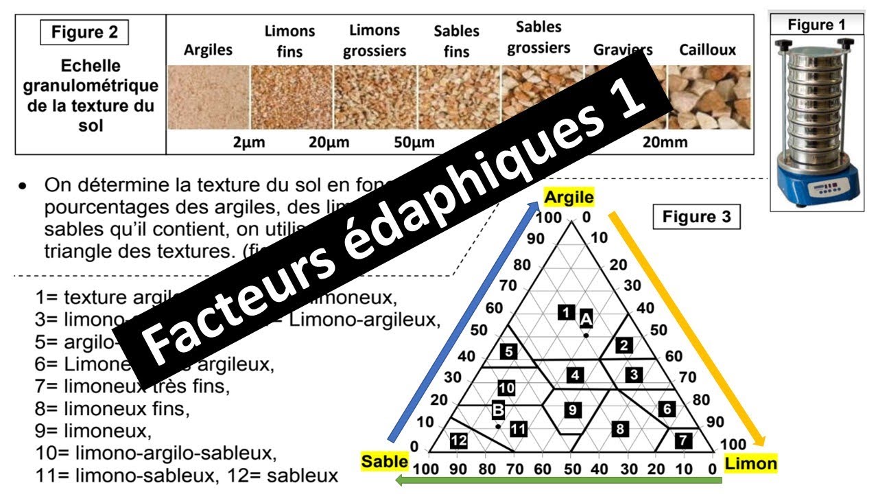 les facteurs édaphiques/ Partie 1: