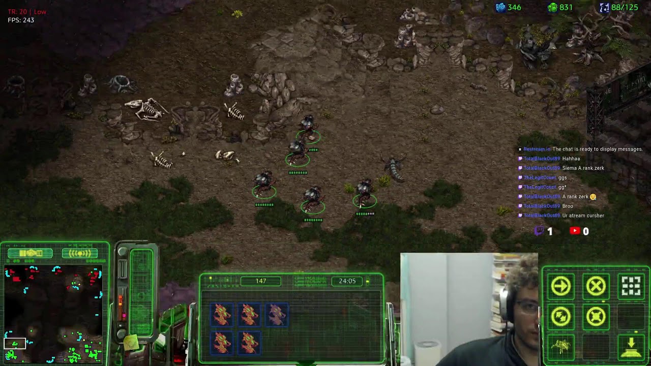A Rank Zerg ladder