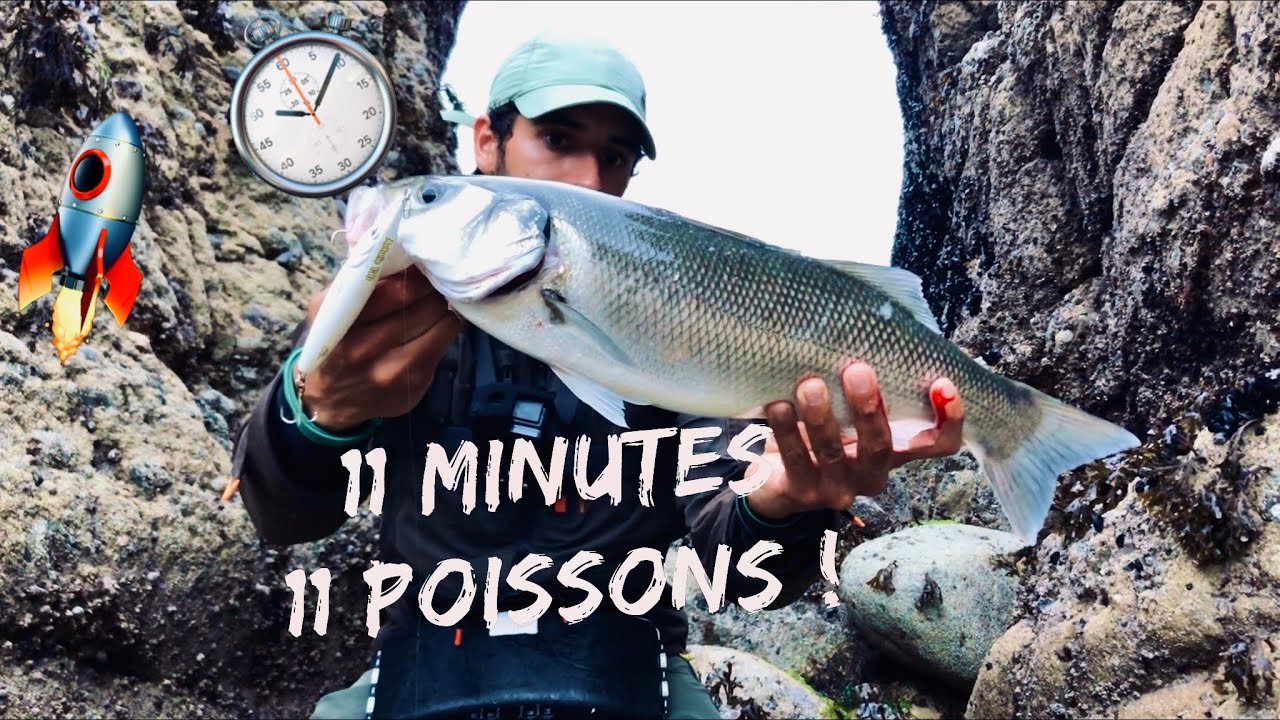 11 MINUTES, 11 POISSONS : GROS BAR au LEURRE de SURFACE !!!