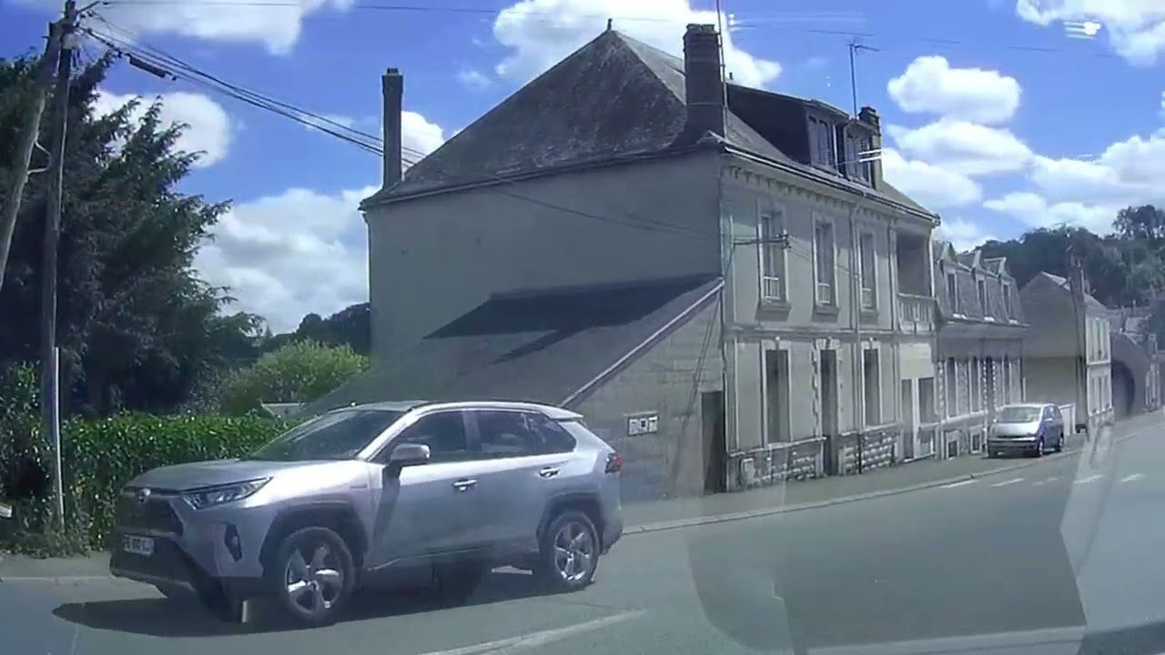 Taxi Dashcam#7 - Sangliers et jeunes conducteurs
