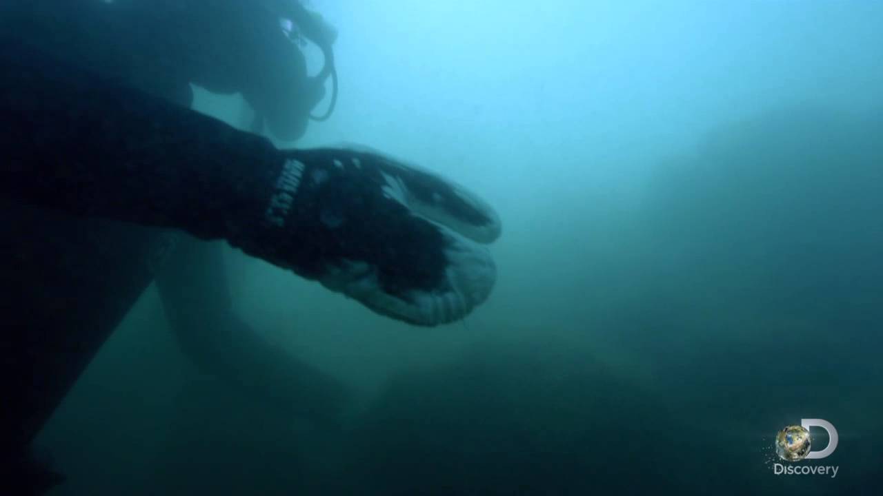 Zeke is on the Gold | Bering Sea Gold