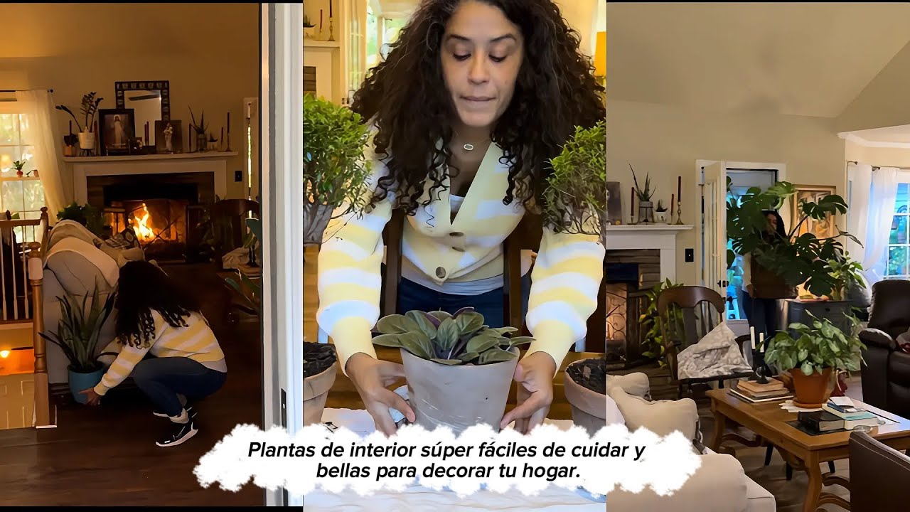 🌺 Mis plantas de interior 🪴 regresan al hogar antes del invierno! Episodio 2 😘