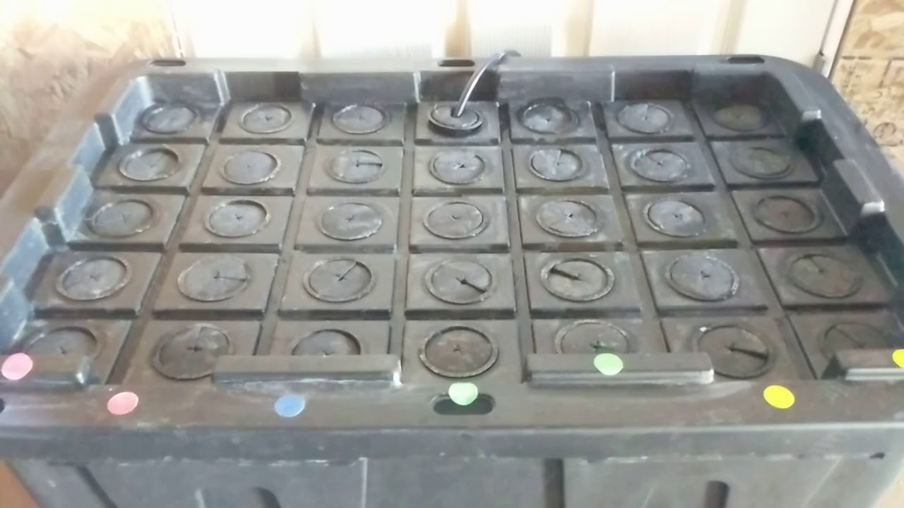 How to Clean Your Aeroponic Cloner
