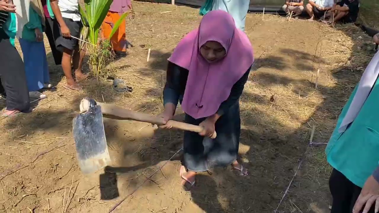 Mahasiwa berdampak membuat bedengan untuk lahan pertanian dengan masyarakat #kemendiktisaintek 