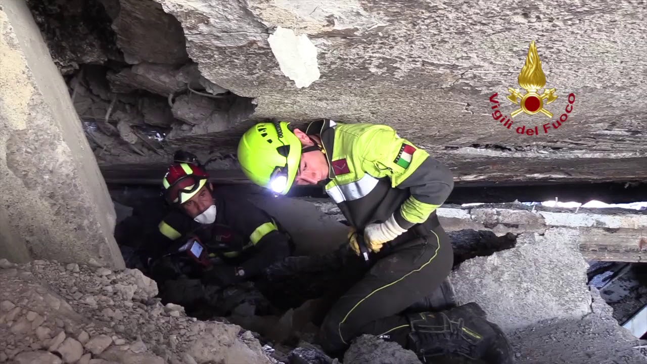 Disastro ponte Genova - Unità cinofile Vigili del Fuoco a lavoro