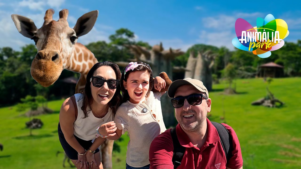Conhecemos muitos animais no Animalia Park! 😱🦒🐍✨