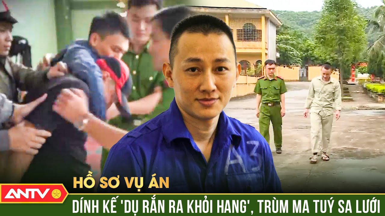 Hồ sơ vụ án: “Dụ rắn ra khỏi hang”, trinh sát đánh dập đầu trùm ma túy đa ngữ | ANTV