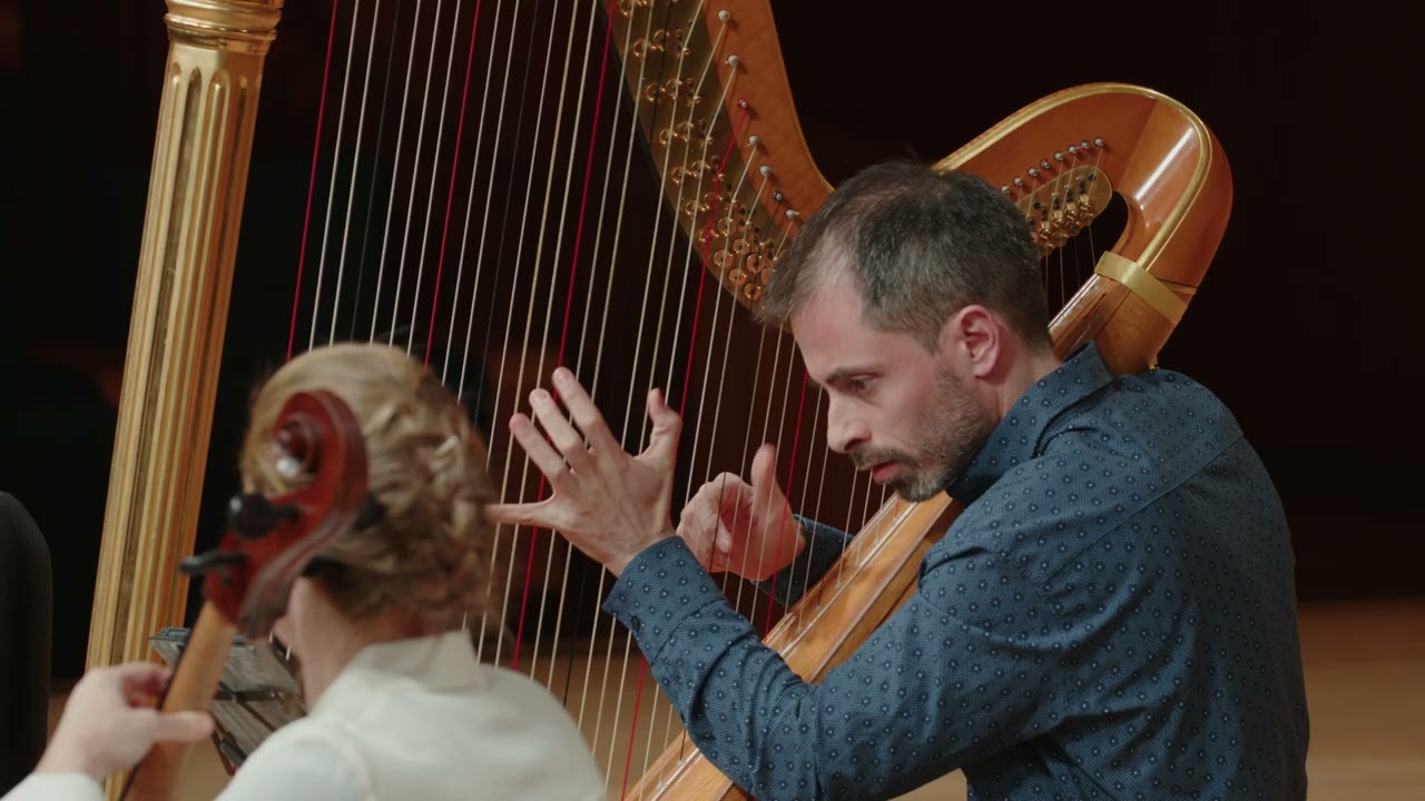 Zohar Sharon: Abyss and Horizon for Bass Clarinet, Cello and Harp* | Israeli Chamber Project