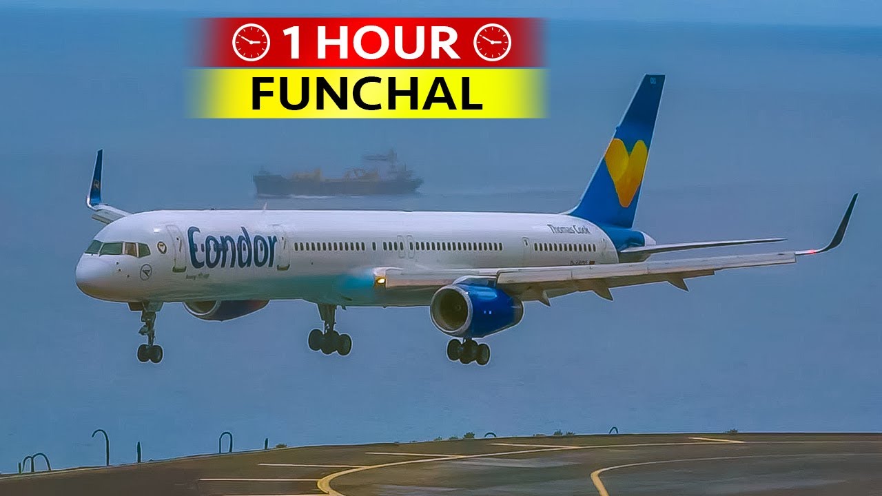 1 Hour of Plane Spotting at FUNCHAL (2017)
