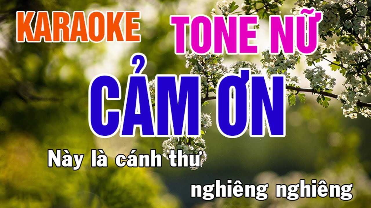 Cảm Ơn Karaoke Tone Nữ Nhạc Sống - Nhật Nguyễn