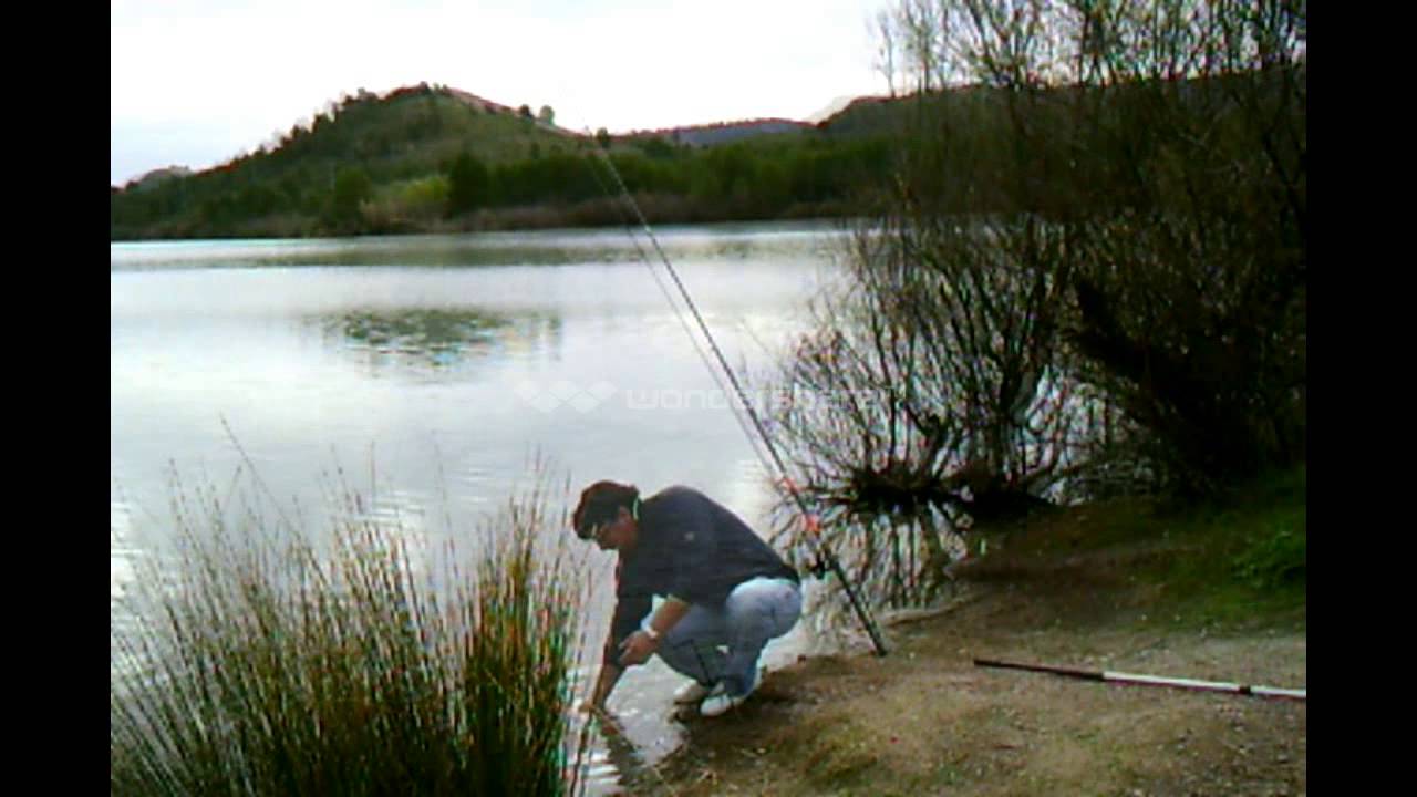 ARGOS PESCA DE BARBOS EN DIRECTO