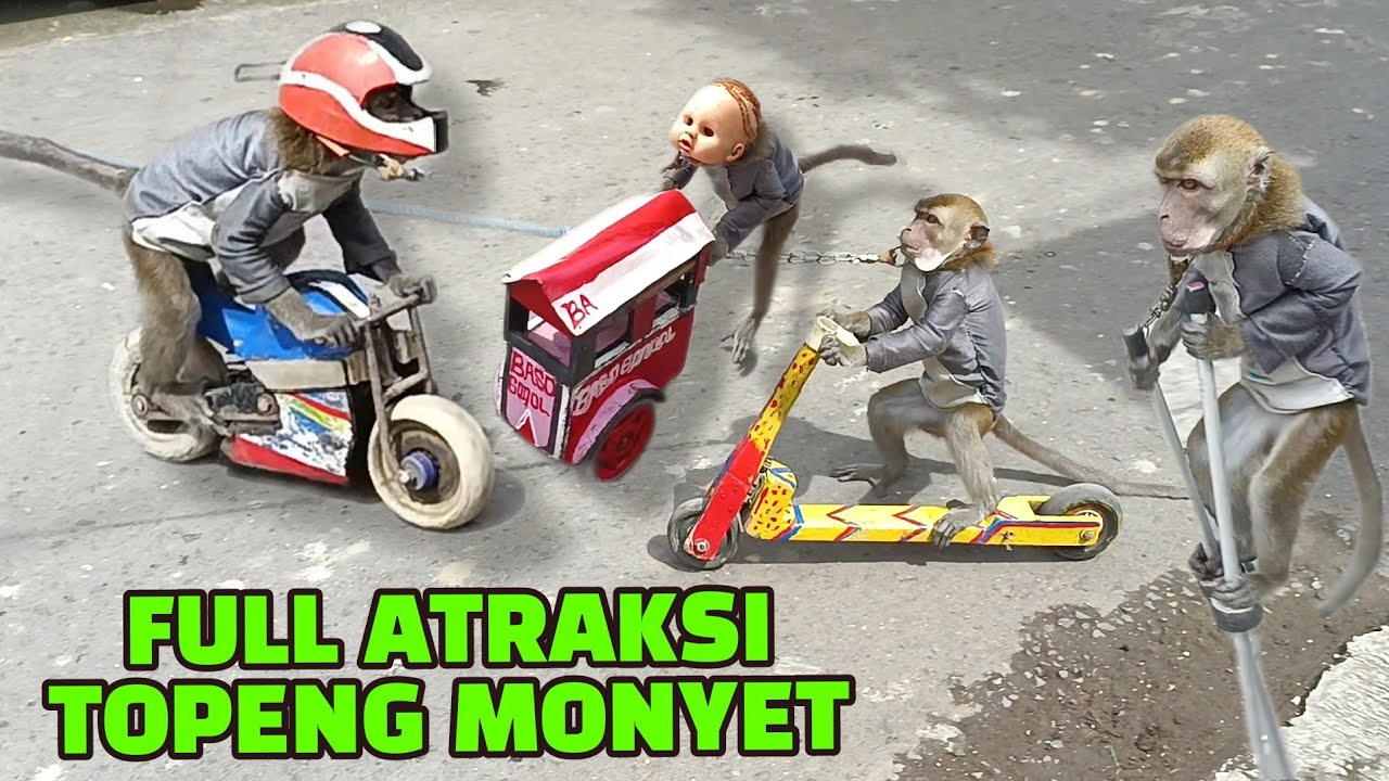FUNNY MONKEY SHOW, FULL ATRAKSI TOPENG MONYET LUCU PART 27
