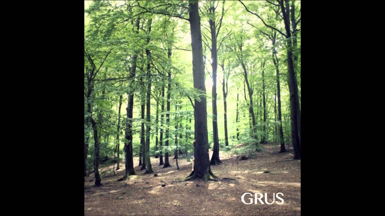 Antfood (feat. Grus) 