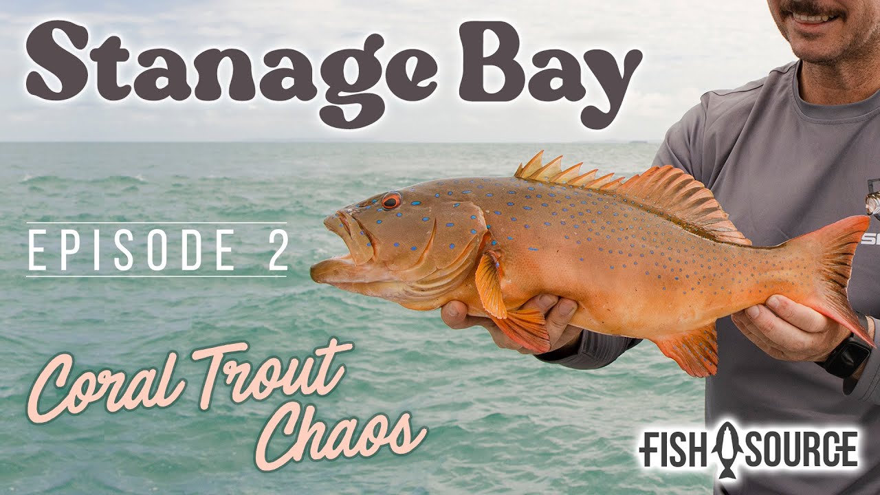 Поездка в залив Станидж - Хаос с коралловой форелью - Эпизод 2