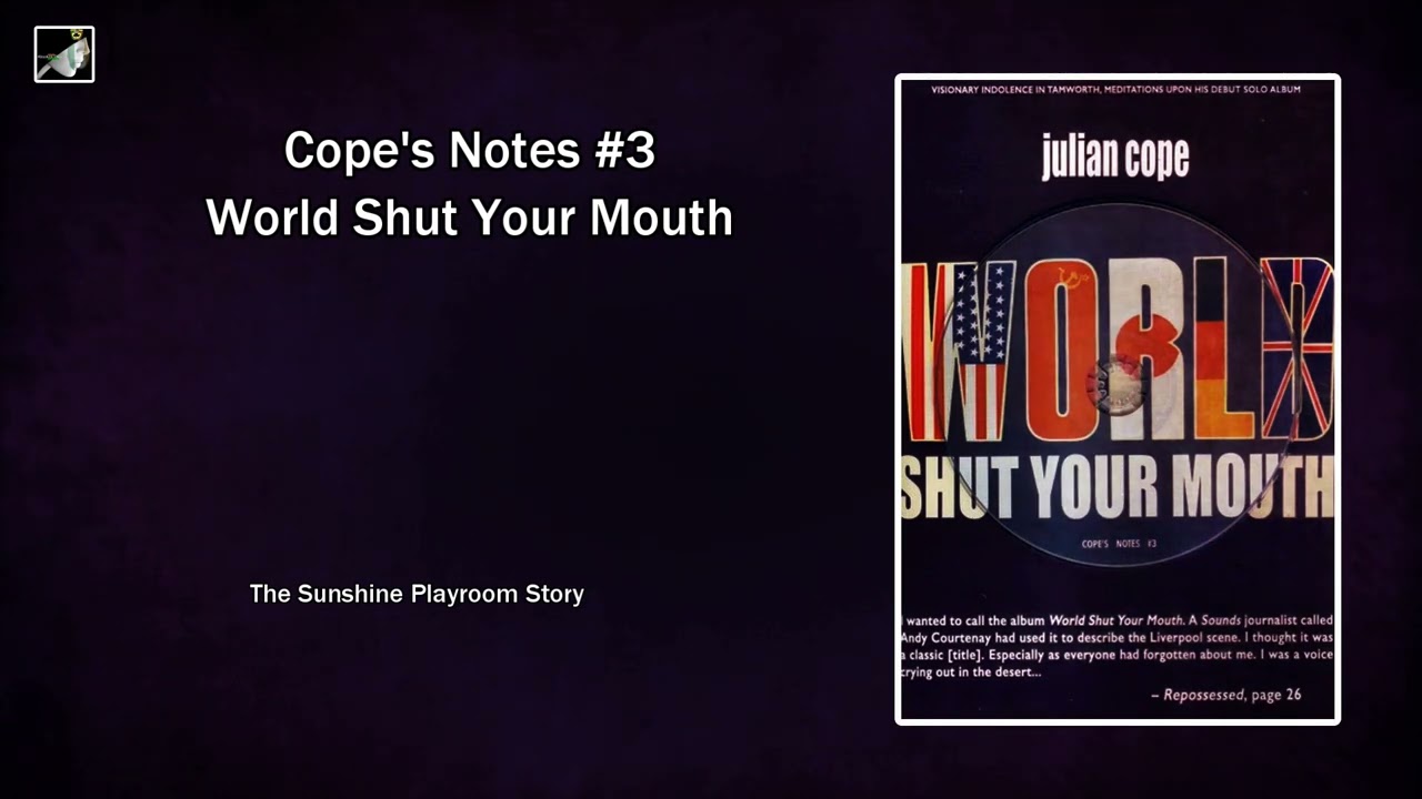 The Sunshine Playroom Story by Julian Cope