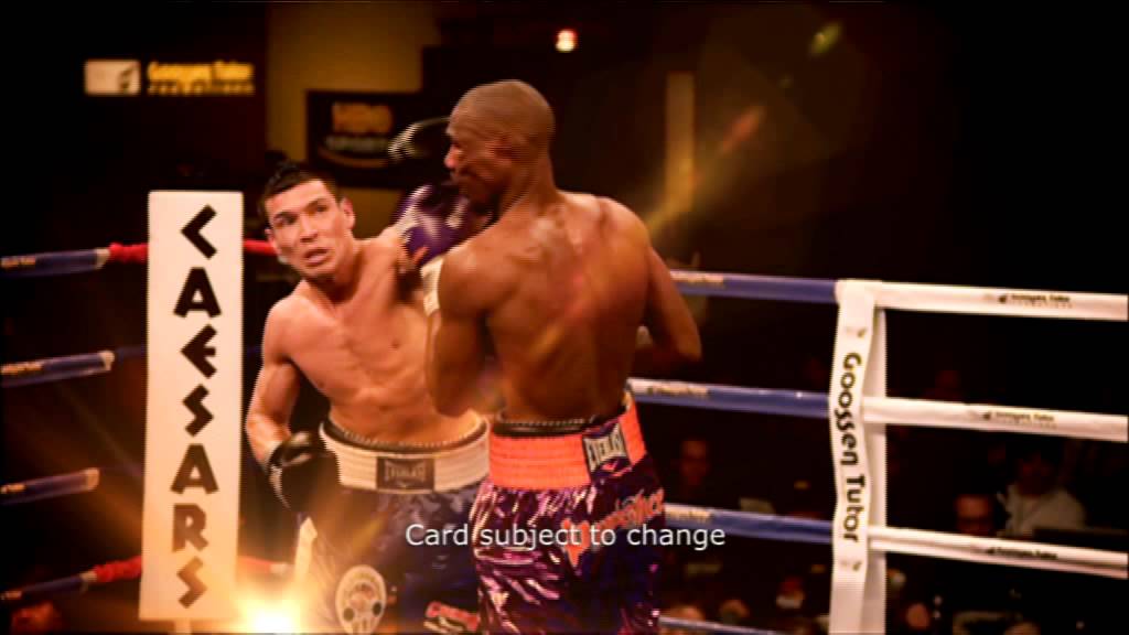 Chavez V Martinez