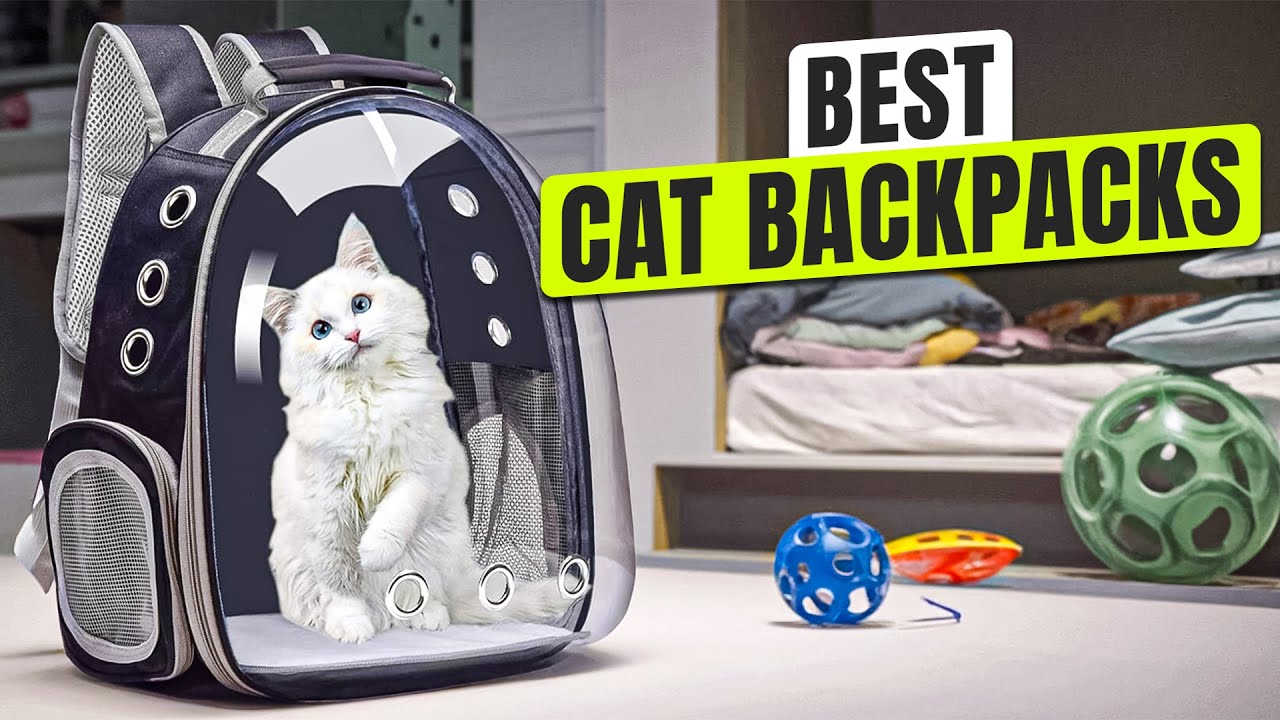 3 BEST Cat Backpacks - Must-Haves for Safe Pet Travel!