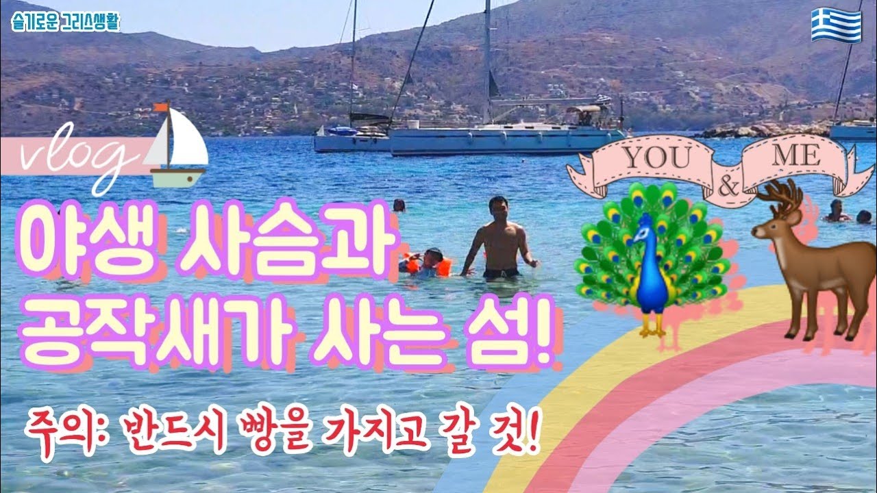 그리스 아테네에서 1시간! 에기나섬 여행 2편! 야생동물보호의 모니섬 여행!#그리스vlog#에기나섬#에기나#그리스여행#그리스여행vlog#그리스#아테네여행#가족여행#유럽여행