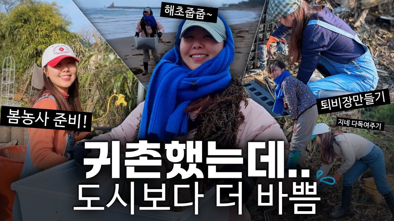 한겨울에 시골동네 쓰레기 주으러 다닌 사연 | 세상에서 가장 작은 반려동물(?) 번식시키기