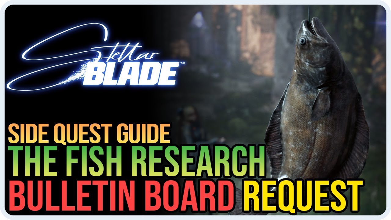 Fish Research Stellar Blade