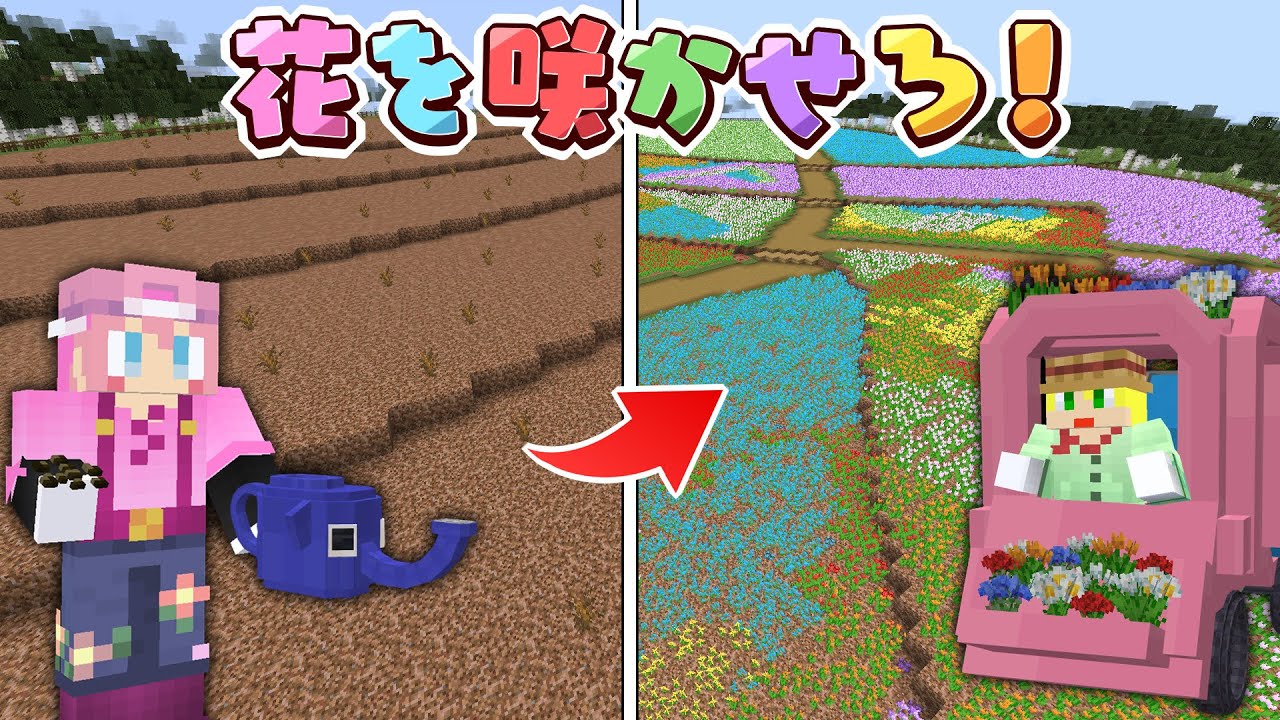 【マイクラ】枯れ切ったお花畑のお花を咲かせろ!!【AMPTAKxCOLORS】【アンプタック】