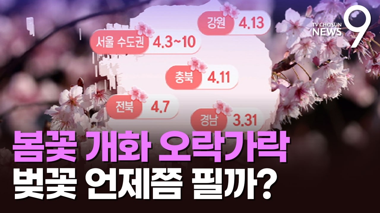 날씨 변덕에 개화 시기 '오락가락'…서울 벚꽃 열흘 '지각' [뉴스9]