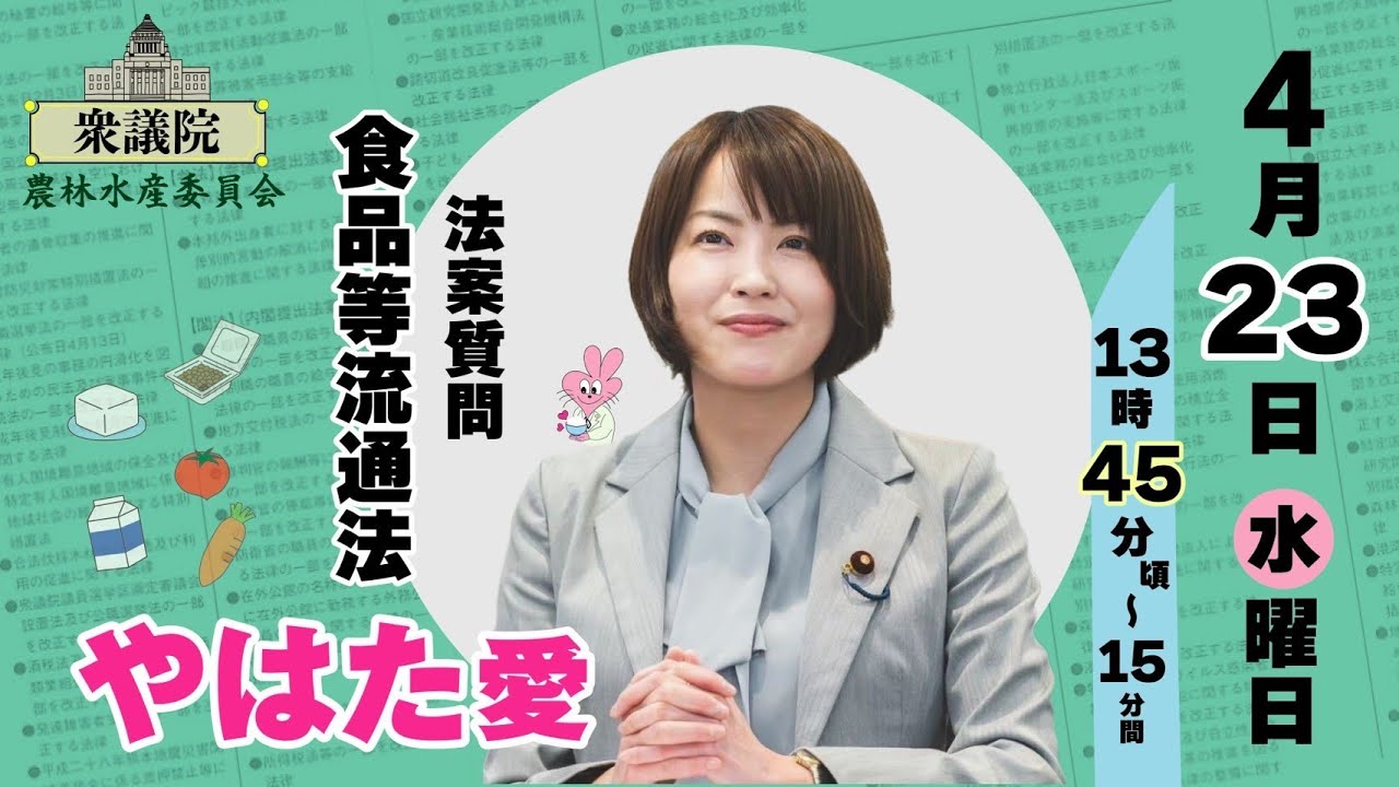 【#やはた愛 の法案質問！】農林水産委員会 食品等流通法について 2025年4月23日13:45頃～