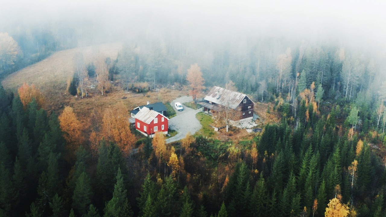 Cozy Autumn days at our Northern Homestead | #05 Farm Diaries