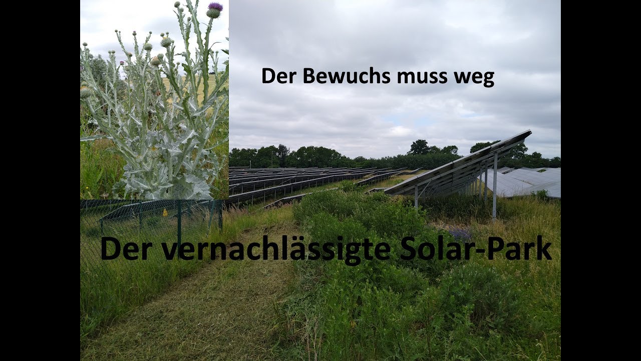Überwucherten Solar Park Mulchen mit JD 5067E und Humus Mulcher
