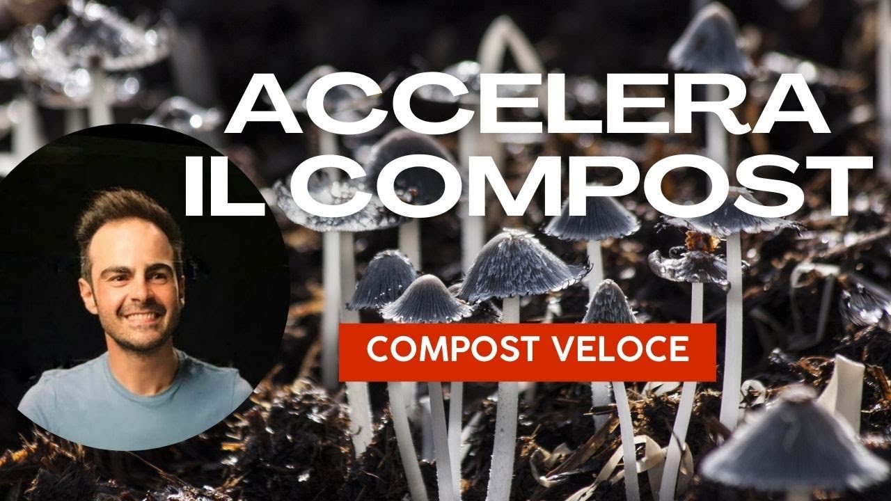 Compostaggio Veloce: Trucchi e Suggerimenti per Accelerare il Processo