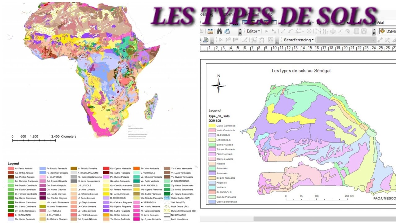 🔴 ArcGis : Télécharge et Cartographie les types de Sols de n'importe quel pays - Facile et Rapide !