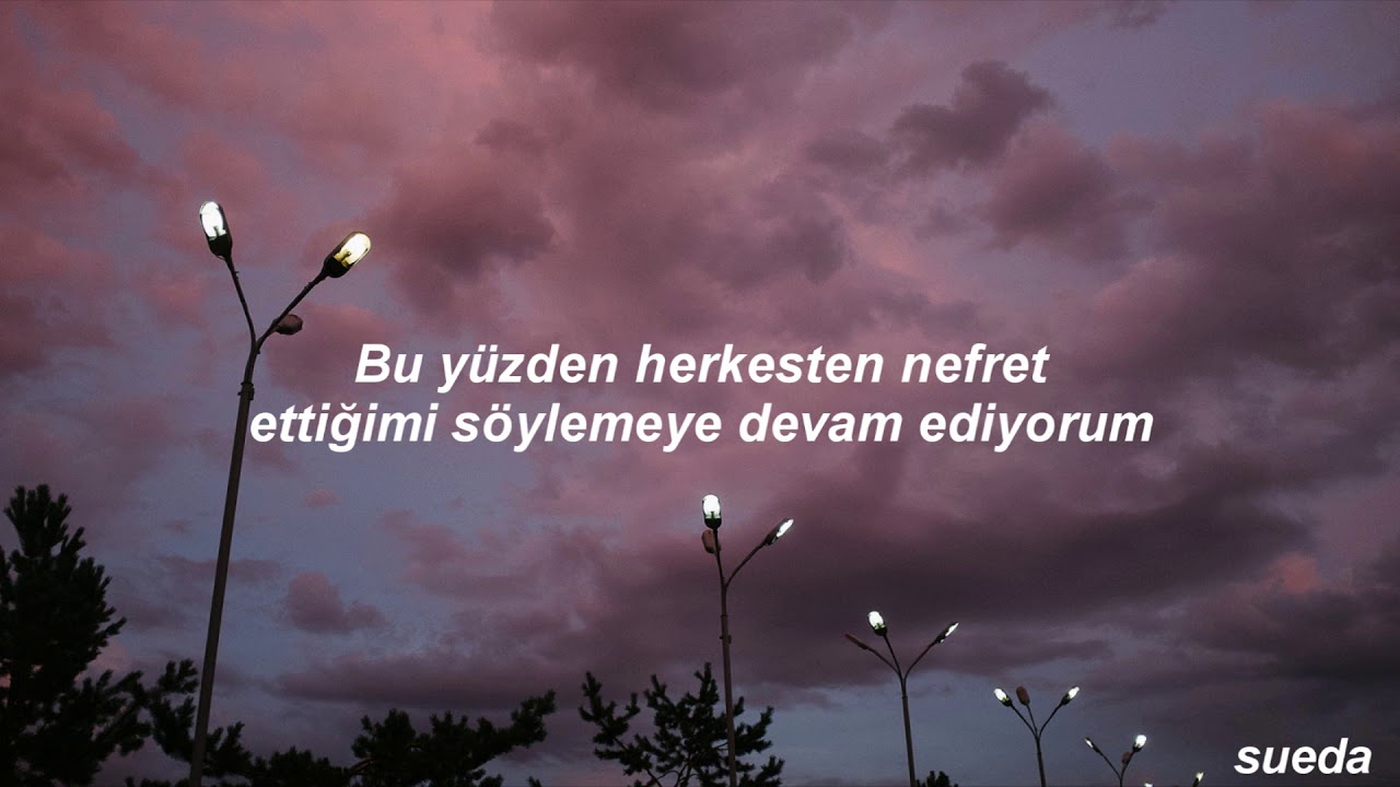 Halsey - I HATE EVERYBODY (Türkçe Çeviri)
